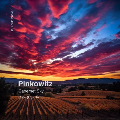 Pinkowitz - Cabernet Sky [BAM334]